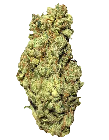 ROLLS ROYCE ROYCE Exotic Hybrid Flower – Premium Cannabis