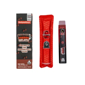 BACKPACK BOYZ 1G Disposable Vape – 1000mg THC Pen