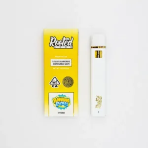 Rooted Labs 1G Vape