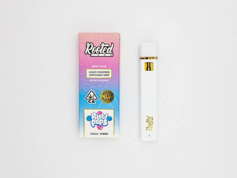 Rooted Labs 1G Vape - Image 5
